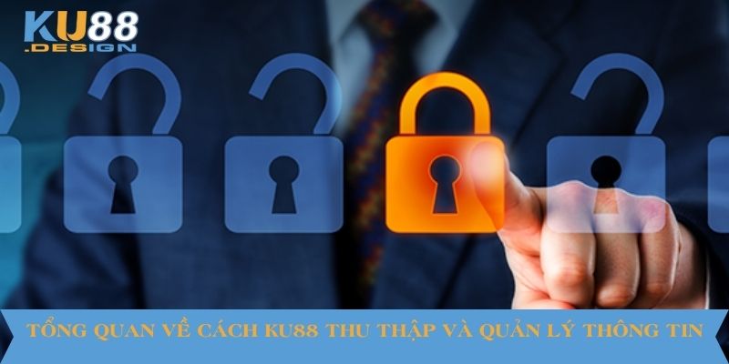 Chính Sách Bảo Mật KU88 - Cách Bảo Vệ Dữ Liệu Người Chơi 1 Tổng quan về cách KU88 thu thập và quản lý thông tin